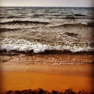 10525508_269638563241307_234592654_n