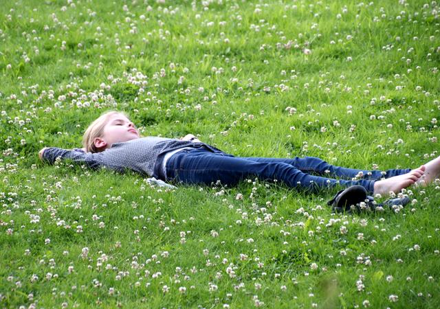 4_in_der_wiese_liegen