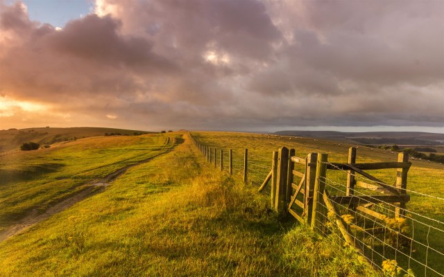 West-Sussex-England-landscape-grass-fence-farm-sheep_1440x900
